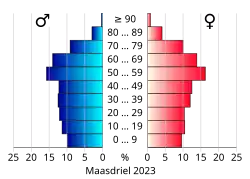 Bevolkingspiramide van de gemeente Maasdriel