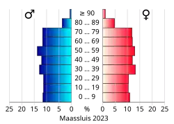 Bevolkingspiramide van de gemeente Maassluis