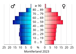 Bevolkingspiramide van de gemeente Montferland