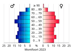 Bevolkingspiramide van de gemeente Montfoort