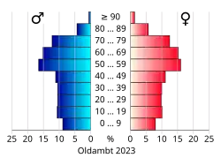 Bevolkingspiramide van de gemeente Oldambt