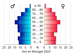 Bevolkingspiramide van de gemeente Son en Breugel