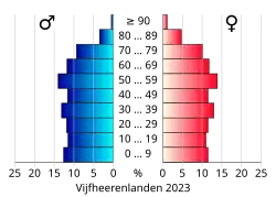 Bevolkingspiramide van de gemeente Vijfheerenlanden
