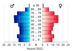 Bevolkingspiramide van de gemeente Voorst