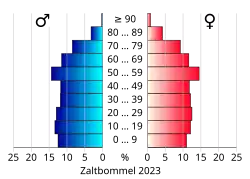 Bevolkingspiramide van de gemeente Zaltbommel