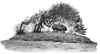 Het hunebed Opferstein bij Albersdorf, ca. 1895