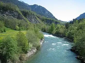 Albula
