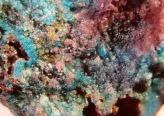 Alfredopetroviet (kleurloos, grauw), Chalcomeniet (blauw) en Ahlfeldiet (roze)