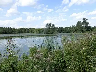 Het Blaasveldbroek in 2015