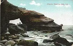 Alligator Head is een opvallende rotsformatie aan de rand van La Jolla Cove, genoemd naar de vorm die doet denken aan de kop van een alligator.