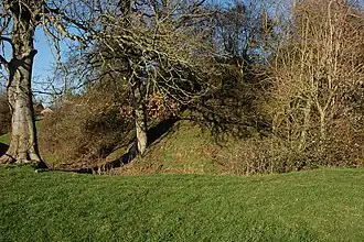 Motte waarop het kasteel stond.