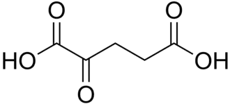 Structuurformule van α-ketoglutaarzuur