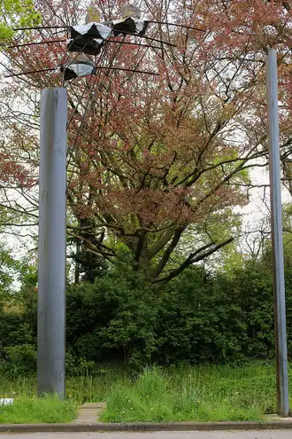 Als boom de sterren raken van Paul Gees