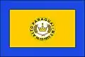 Vlag van Alto Paraguai