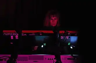 The Golden Palominos