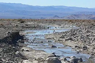 De Amargosa bij de toegangsweg van de Dumont Dunes