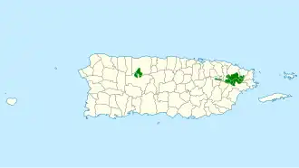 Puertoricaanse amazone