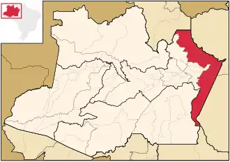 Ligging van de Braziliaanse microregio Parintins in Amazonas