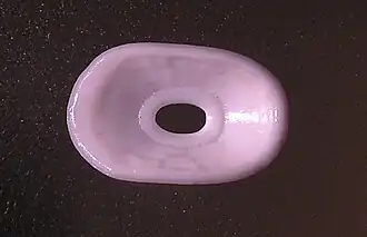 Amblychilepas nigrita