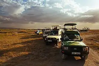 Toeristen op safari in het park