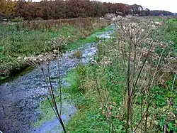 Drentsche Aa (Amerdiep)