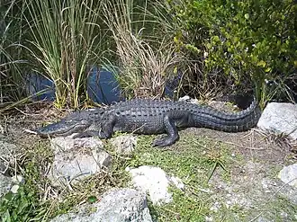 Everglades National Park