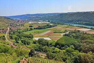 Landschap bij Ampuis, rechts de Rhône