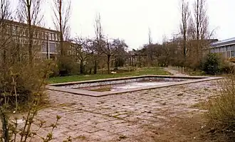 Het verwaarloosde plantsoen in de jaren '80