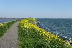 De Waterlandse Zeedijk met links het Kinselmeer en rechts het IJsselmeer.