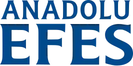 Efes Beverage Group