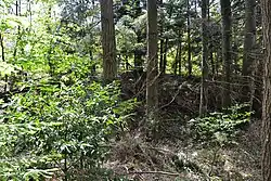 De spoordijk nabij Bussière-Galant.