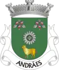 Vlag van Andrães