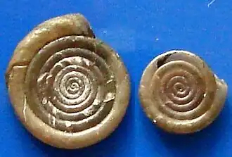 Anisus septemgyratus