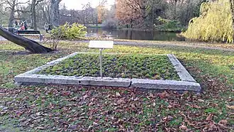 Anjerperk Vondelpark