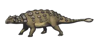 Ankylosaurus