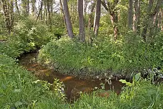 Het Anlooërdiepje bij Landgoed De Schipborg
