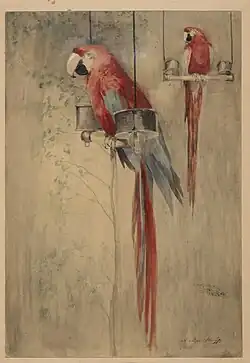 Twee papegaaien (1915)