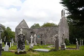 Ruïne van Annaghdown Cathedral