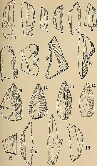Diagram van karakteristieke Howiesons Poort-werktuigen. De typologieën zijn als volgt: 1-6, klingen, enz.; 7-10, concave schrabbers; 11-14, projectielpunten; 15, kerfrest; 16 en 18, halve manen; 17, kling.