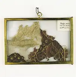 Anoniem, fragment van Oosters zijdeweefsel