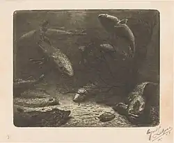 Aquarium, ets en droge naald, 1887, Rijksprentenkabinet