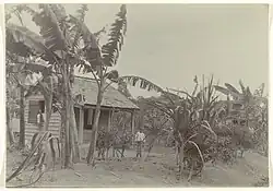 Woning op plantage Johanna-Catharina, Suriname (foto 1918)