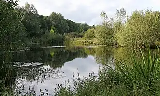 Arboretum Poort Bulten