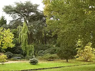 Trompenburg Tuinen & Arboretum, Rotterdam