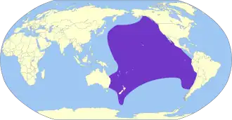 Bullers pijlstormvogel