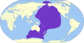 Dunbekpijlstormvogel