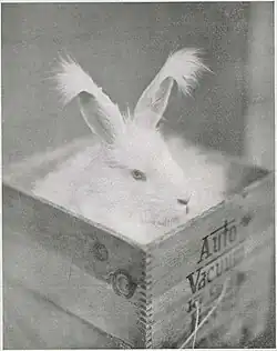 "Het voorjaar in een kistje", omslagfoto van geïllustreerd maandschrift Op de hoogte, april 1930