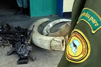 Door ICCN in beslag genomen wapens en ivoor (2003).