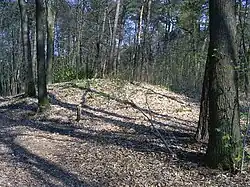 Grafheuvel Molenheuvel