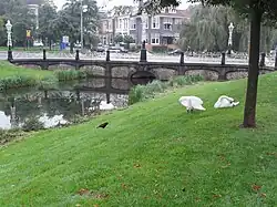 Brug De la Reystraat